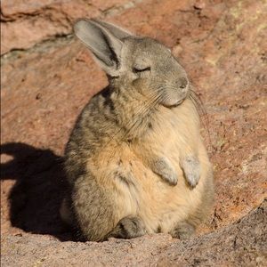 Meet your Posher, Aurora